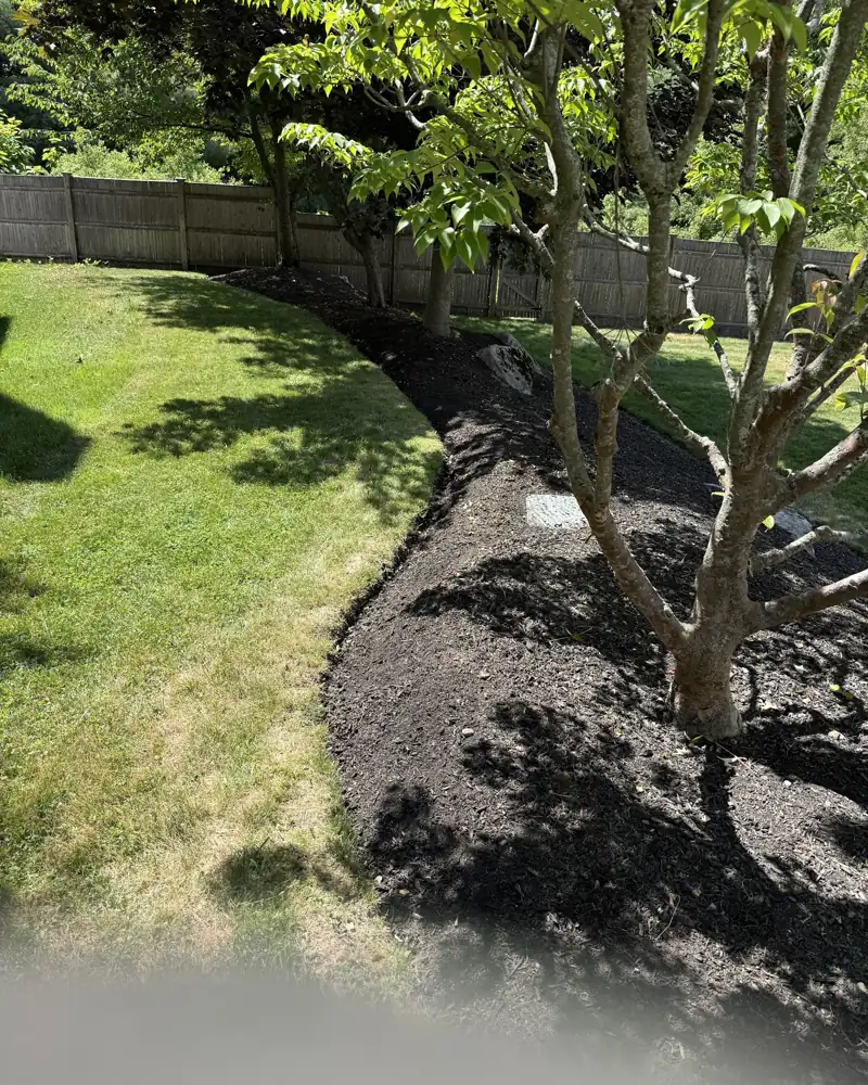 Tree ring and bed edging under a mature tree, freshly mulched