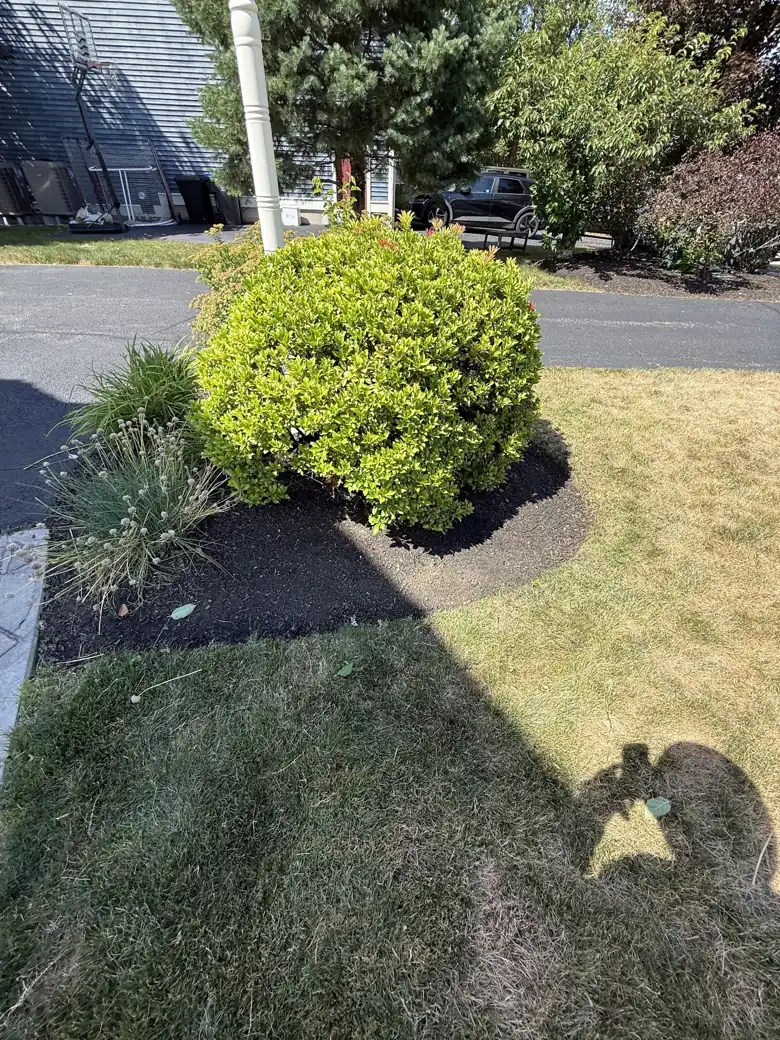 Mulching & bed edging