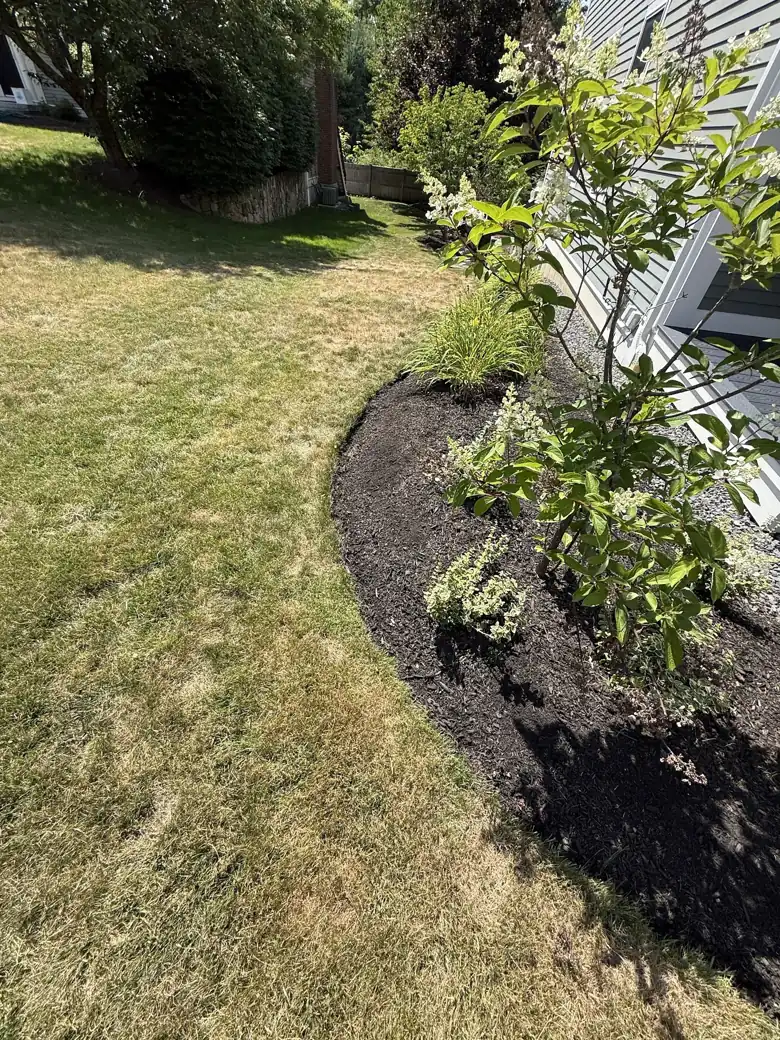 Spring & fall cleanups
