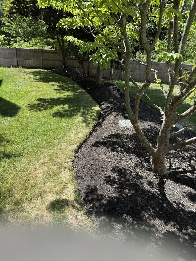 Tree trimming & removal
